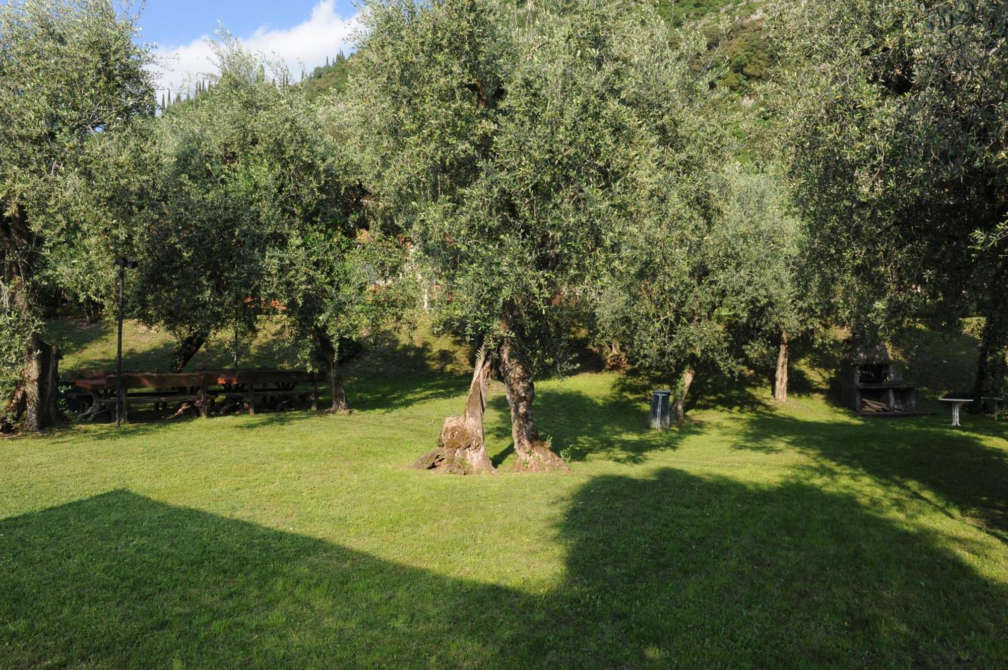 Residence Kormorano Malcesine Exterior photo
